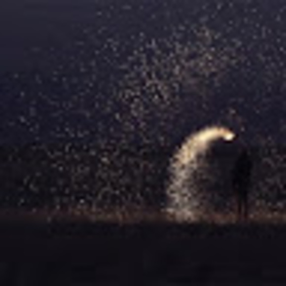 Meet your Posher, Nina - Picture 1 of 1